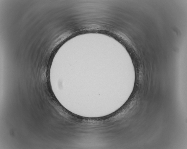 X0000112830873200910021220