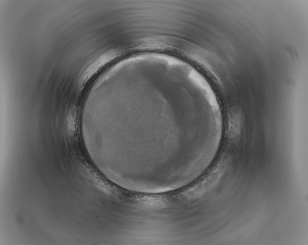 X0000112830874200910021220