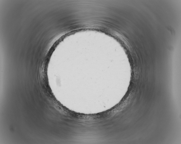 X0000112830875200910021220