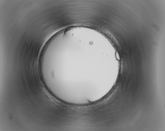 X0000112830876200910021220