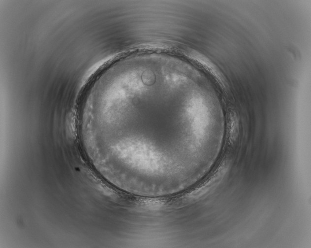 X0000112830878200910021220