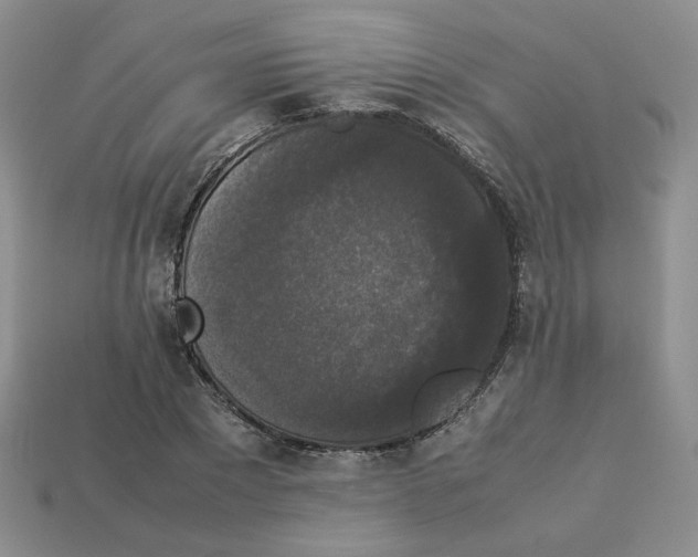 X0000112830881200910021220