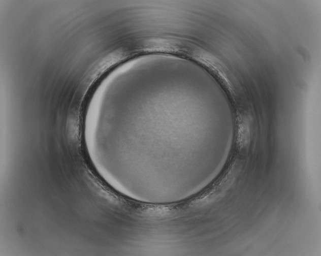 X0000112830882200910021220