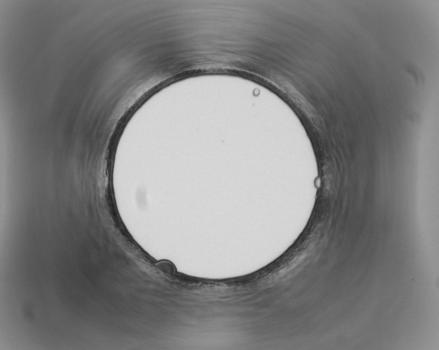 X0000112830885200910021220