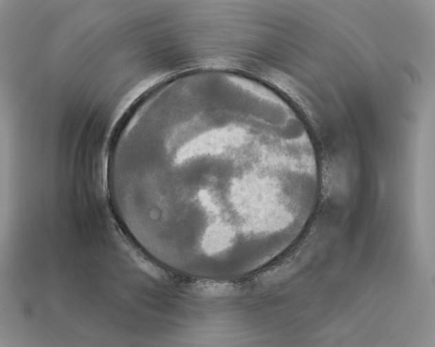 X0000112830886200910021220