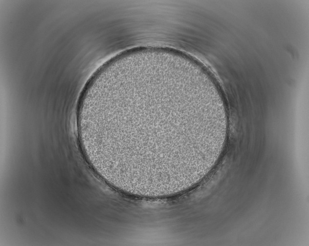 X0000112830887200910021220