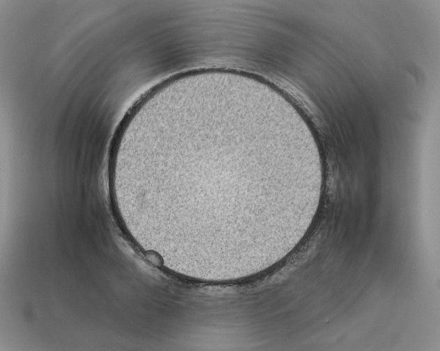 X0000112830888200910021220