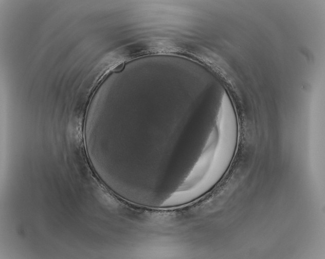 X0000112830889200910021220