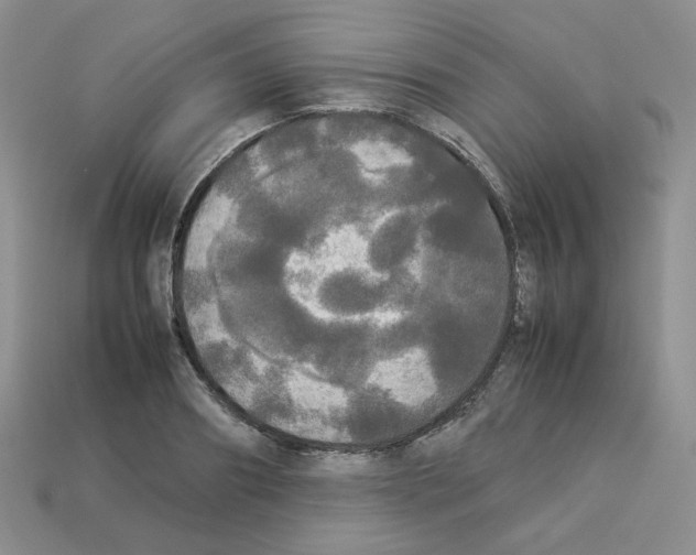 X0000112830890200910021220