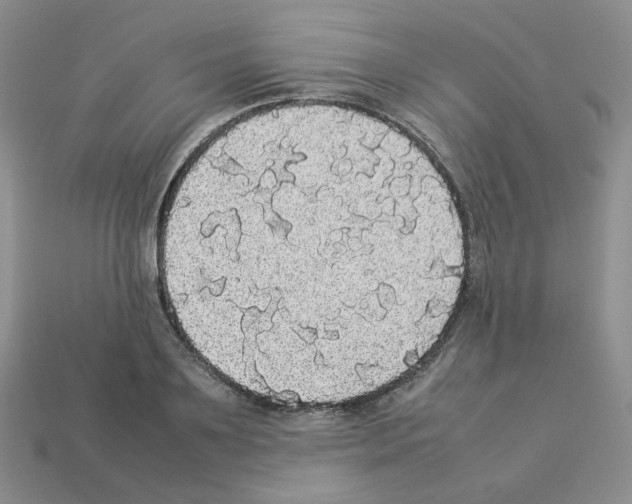 X0000112830891200910021220