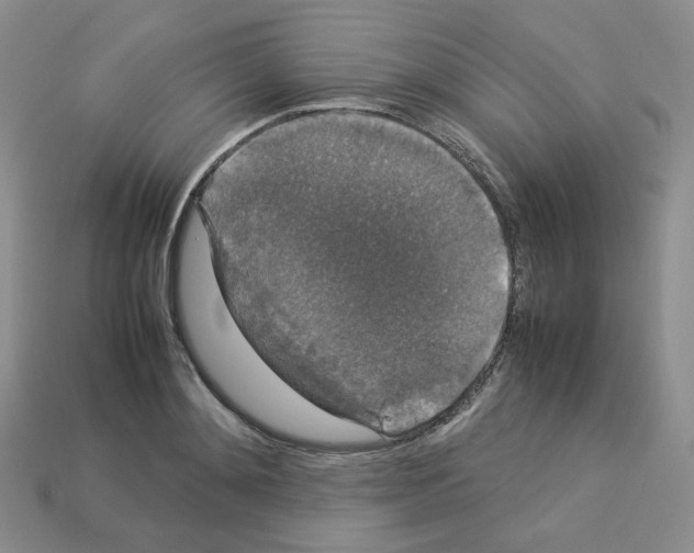 X0000112830892200910021220