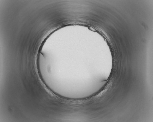 X0000112830893200910021220