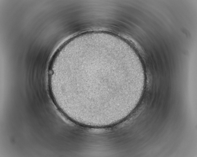 X0000112830894200910021220