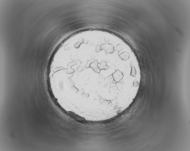 X0000112830895200910021220