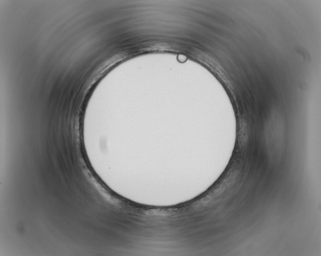 X0000112830898200910021220