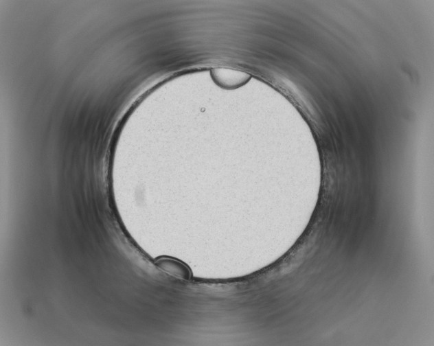 X0000112830900200910021220