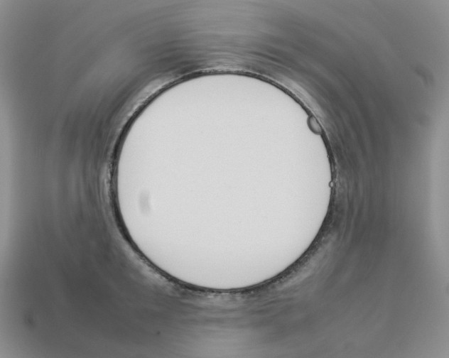 X0000112830901200910021220