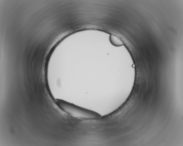 X0000112830902200910021220