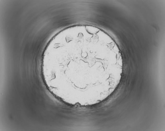 X0000112830903200910021220