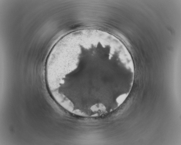 X0000112830907200910021220