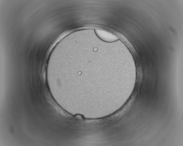 X0000112830908200910021220