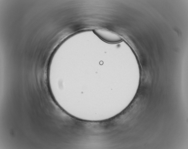 X0000112830909200910021220