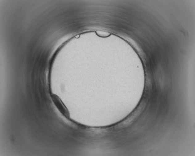 X0000112830910200910021220