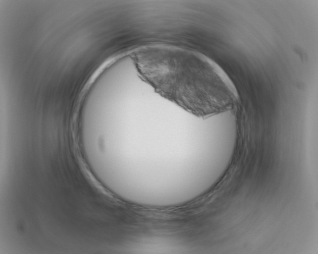 X0000112830911200910021220