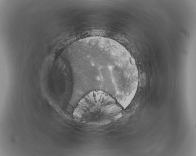 X0000112830913200910021219