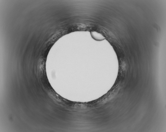 X0000112830914200910021219