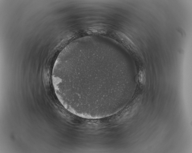 X0000112830915200910021219