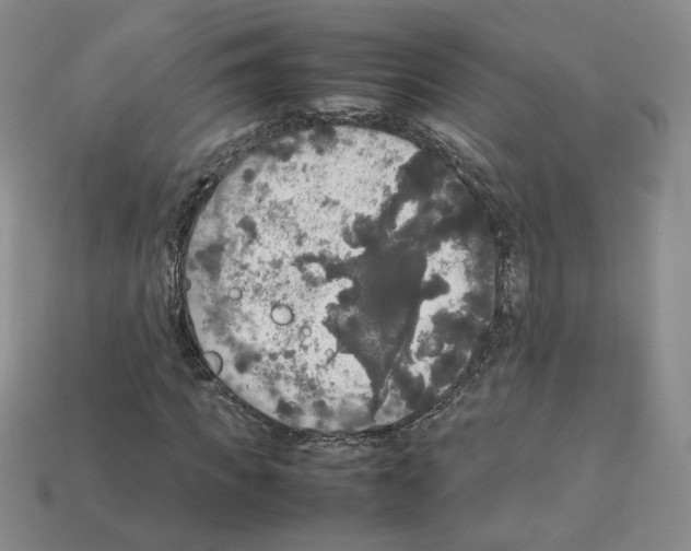 X0000112830917200910021219