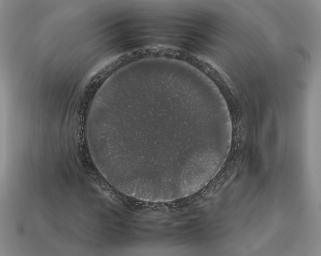 X0000112830919200910021219