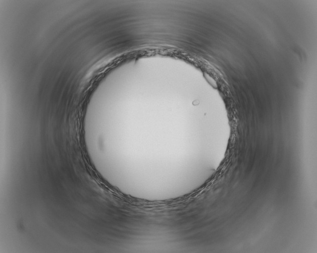 X0000112830920200910021219