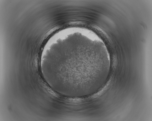 X0000112830921200910021219