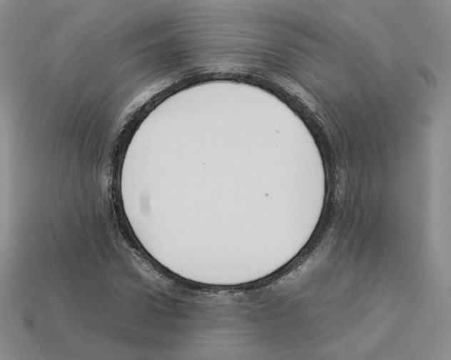 X0000112830922200910021219