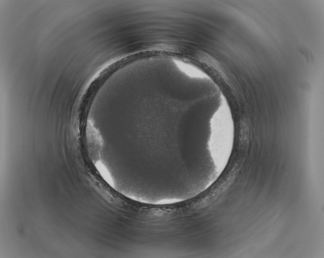 X0000112830923200910021219