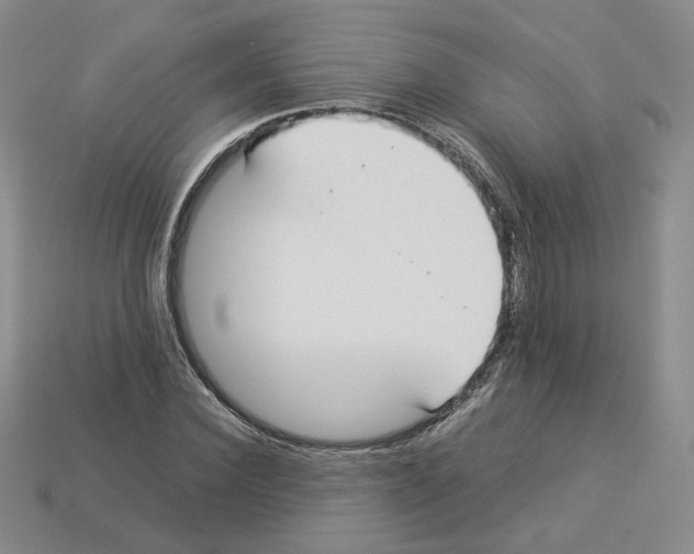 X0000112830924200910021219