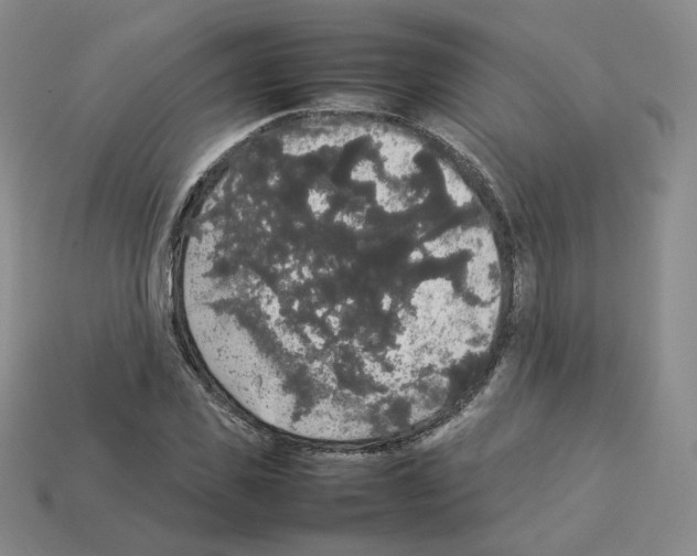 X0000112830925200910021219