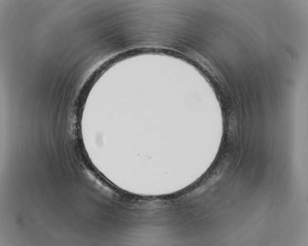 X0000112830926200910021219