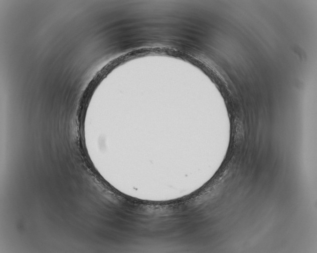 X0000112830927200910021219