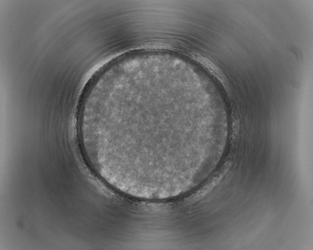 X0000112830928200910021219