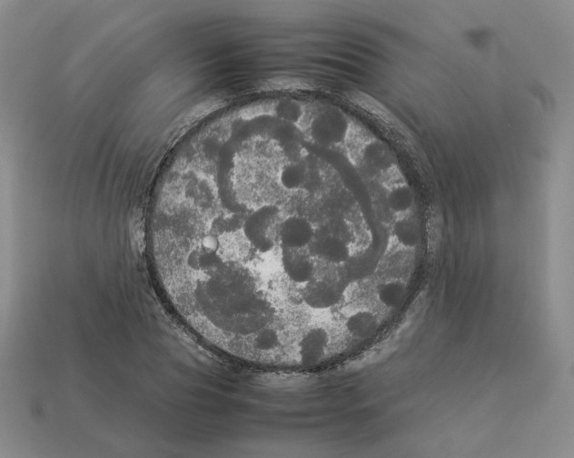 X0000112830929200910021219