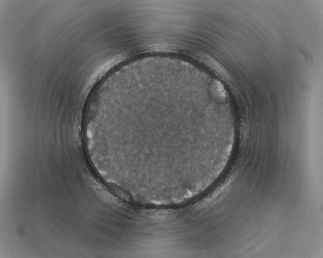 X0000112830930200910021219