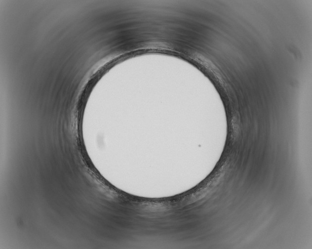 X0000112830931200910021219