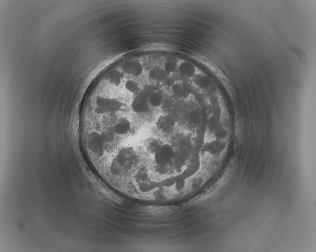 X0000112830933200910021219