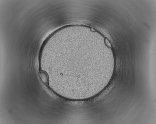 X0000112830936200910021219