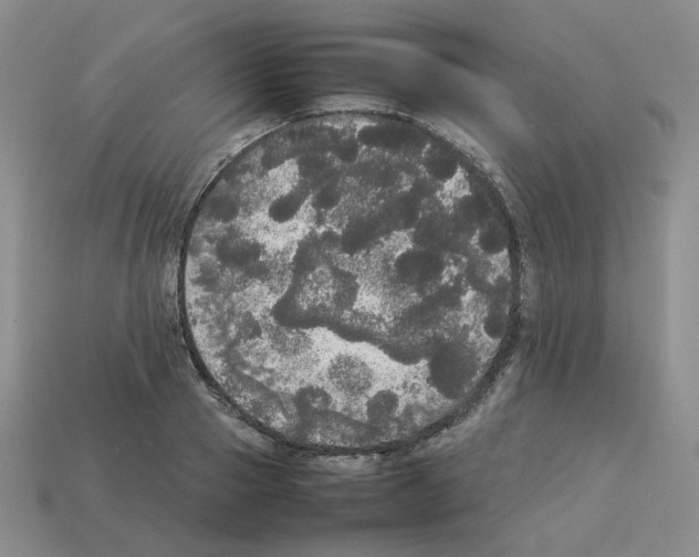 X0000112830937200910021219