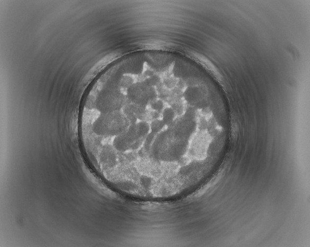 X0000112830938200910021219