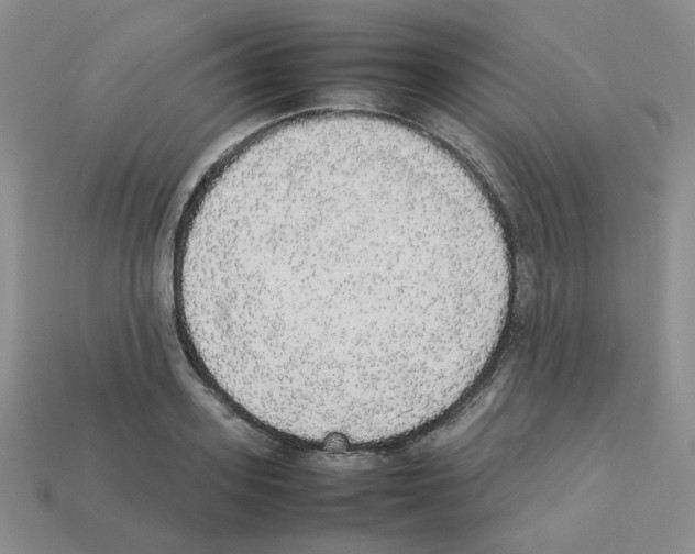 X0000112830939200910021219